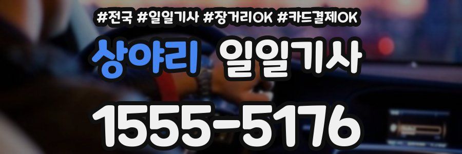 상야리 일일기사