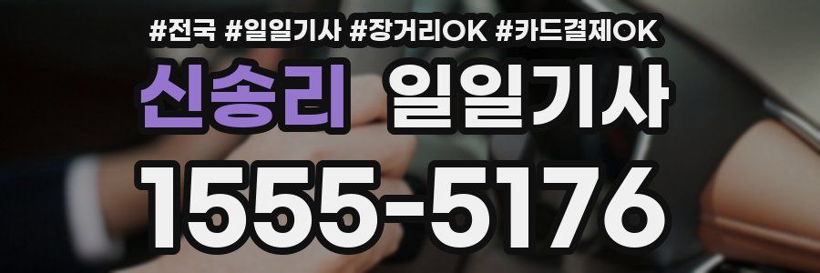 신송리 일일기사