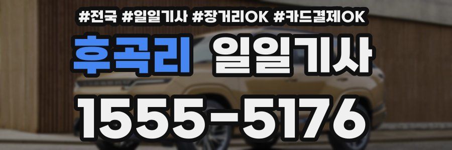 후곡리 일일기사