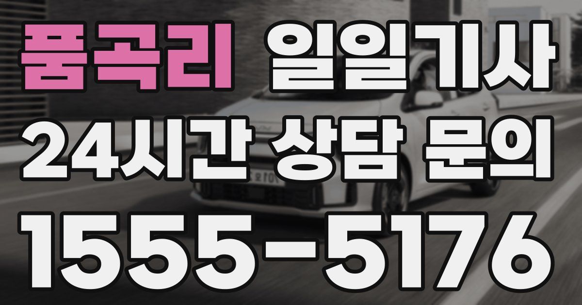 일일대리기사