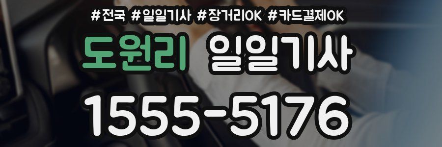 도원리 일일기사