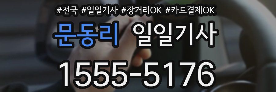 문동리 일일기사