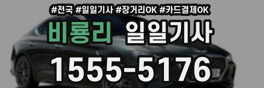 비룡리 일일기사