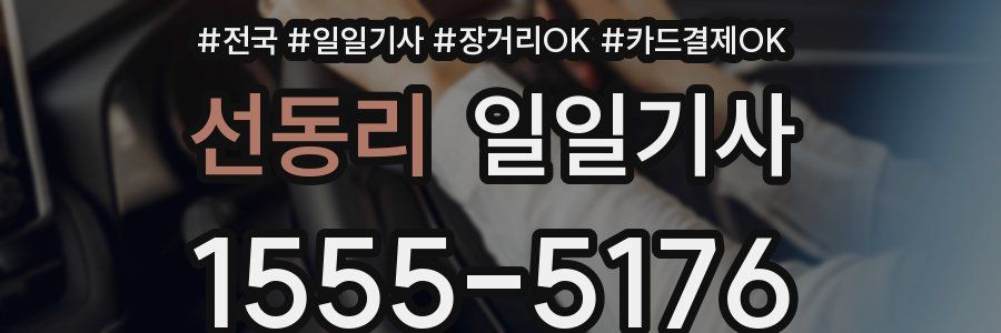 선동리 일일기사