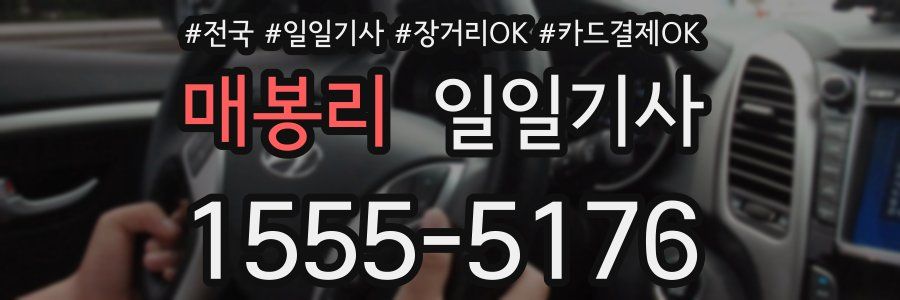 매봉리 일일기사