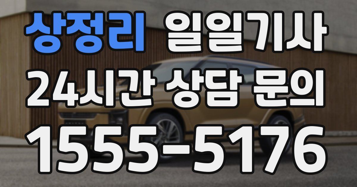 일일대리기사