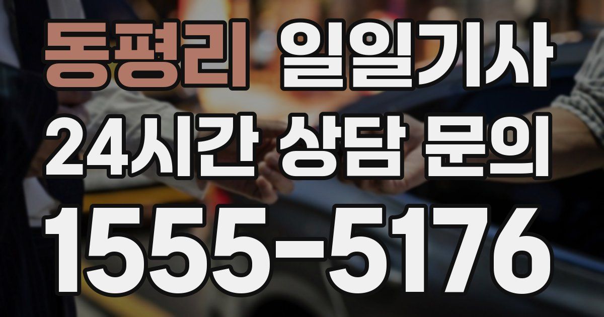 일일대리기사