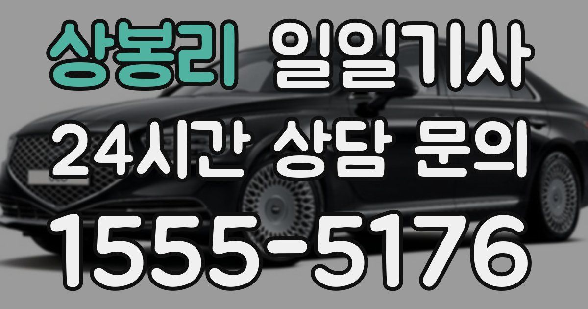 일일대리기사