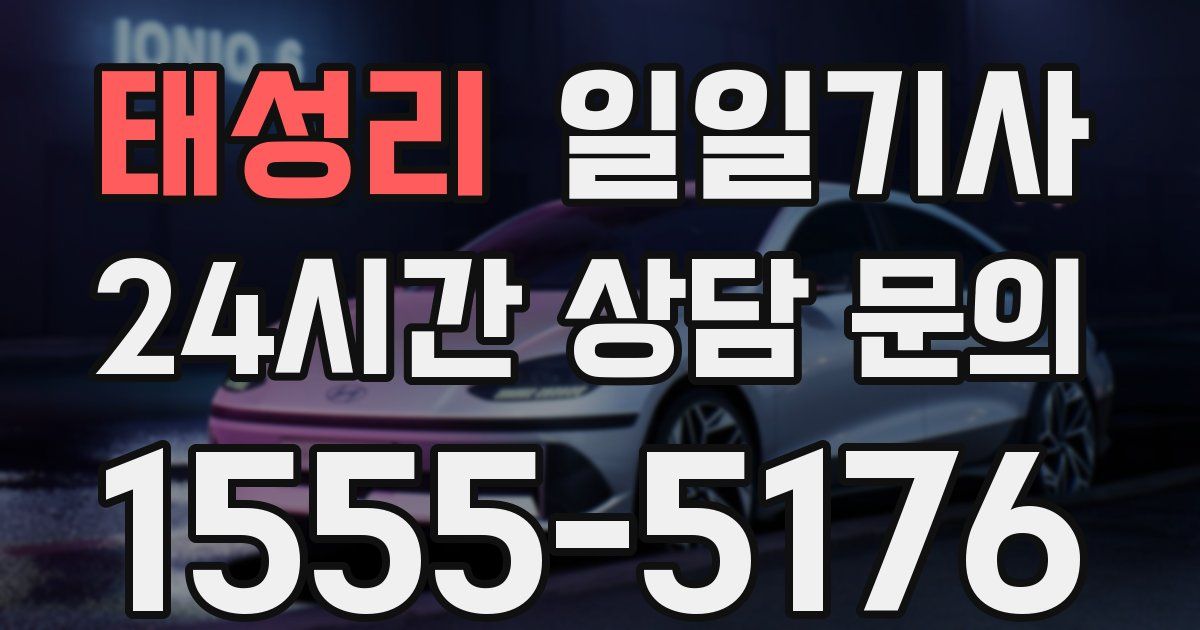 일일대리기사