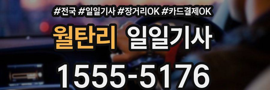 월탄리 일일기사