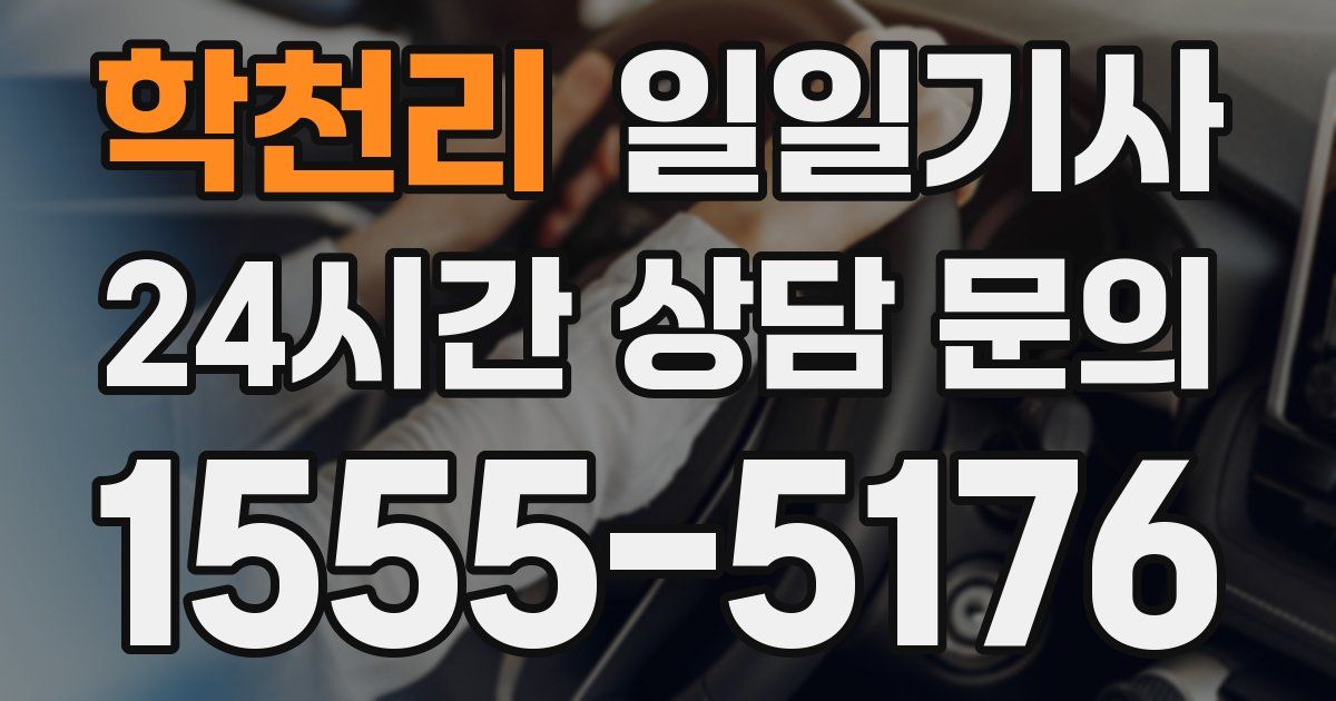 일일대리기사