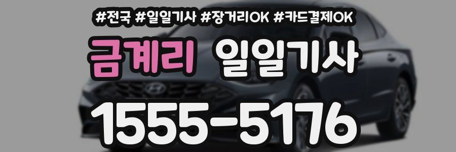 금계리 일일기사