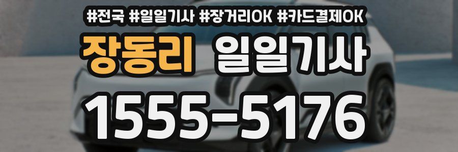 장동리 일일기사