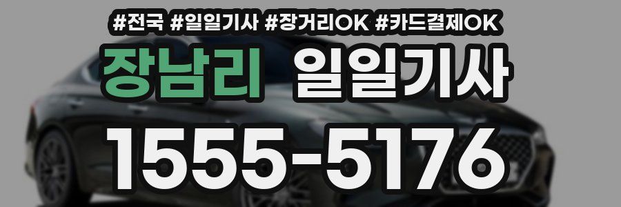 장남리 일일기사