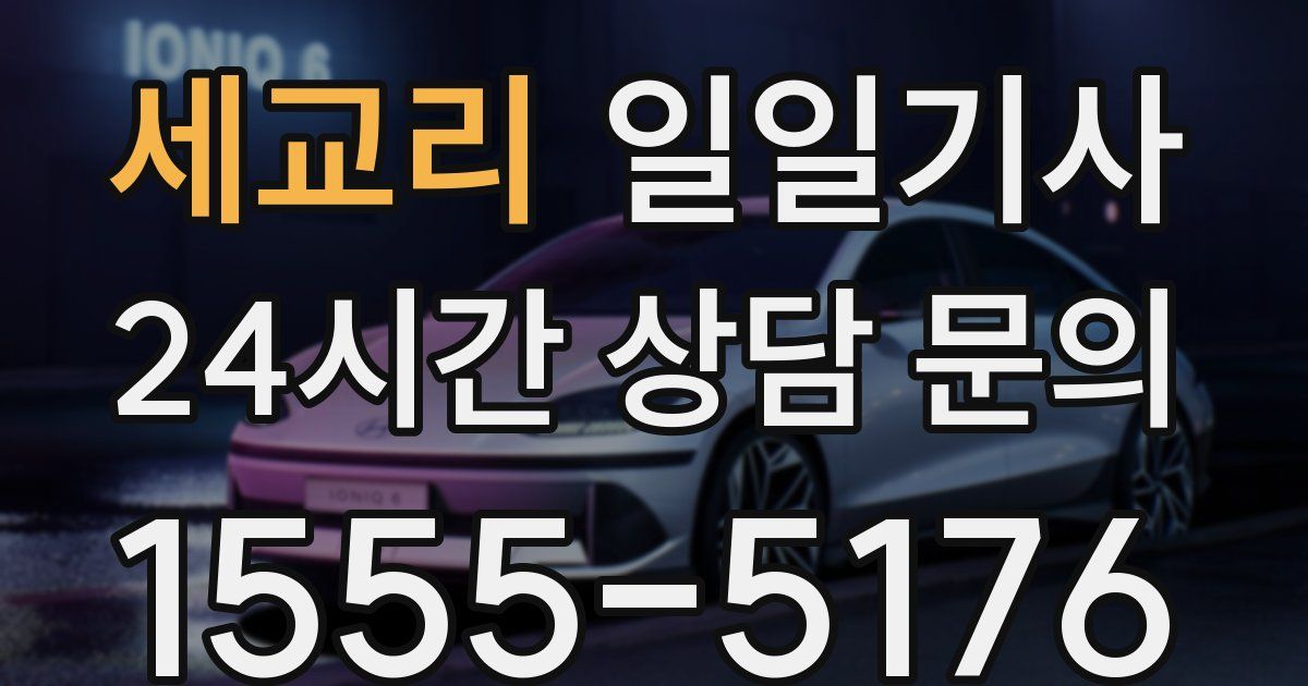 일일대리기사