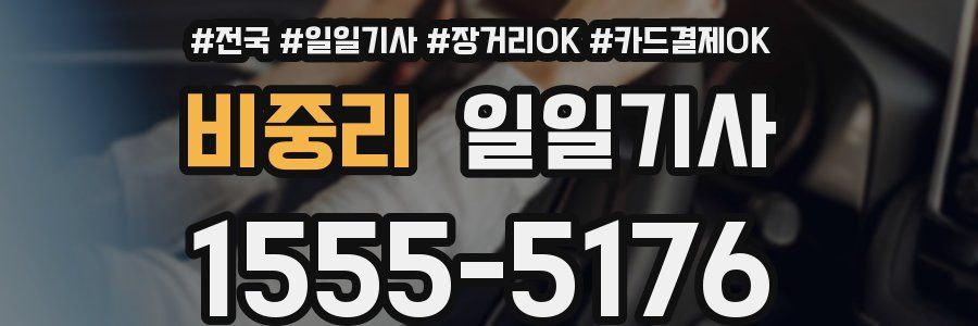 비중리 일일기사