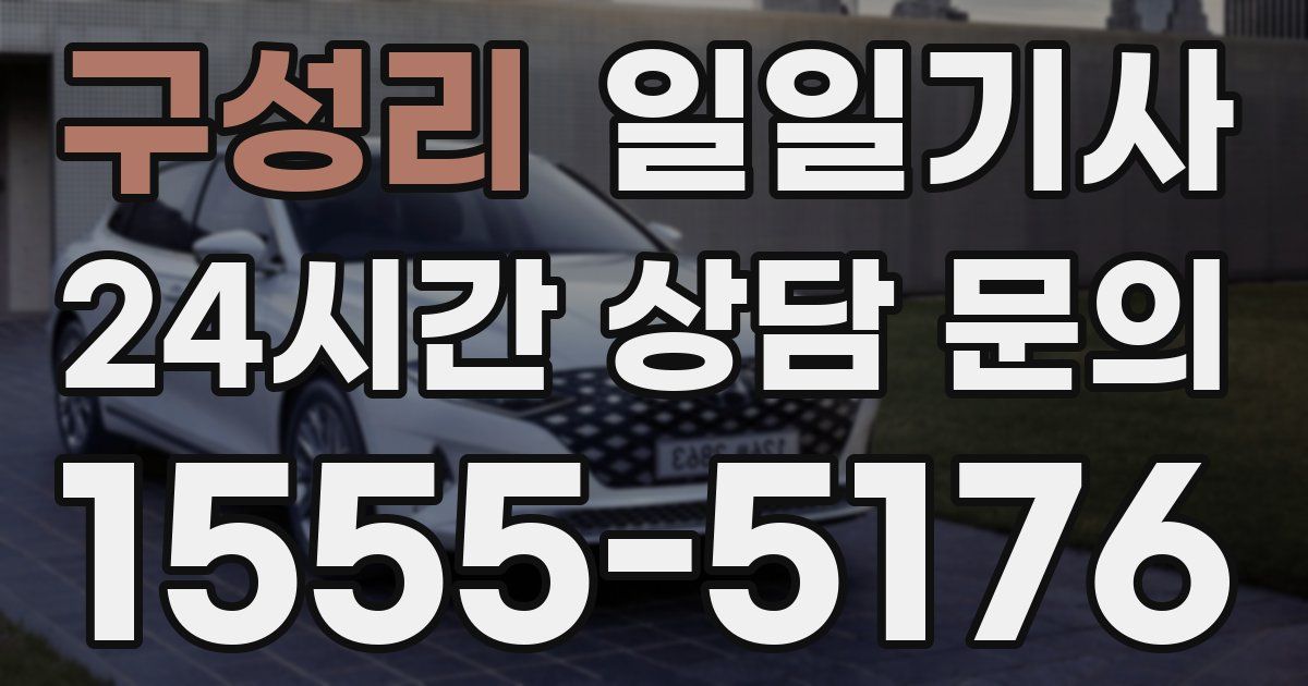 일일대리기사