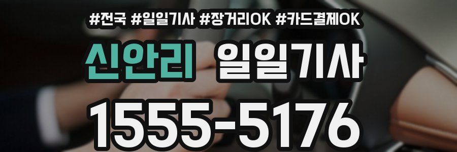 신안리 일일기사