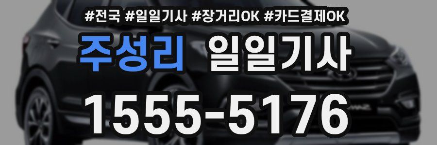 주성리 일일기사