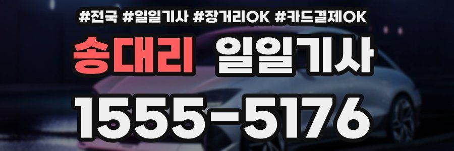 송대리 일일기사