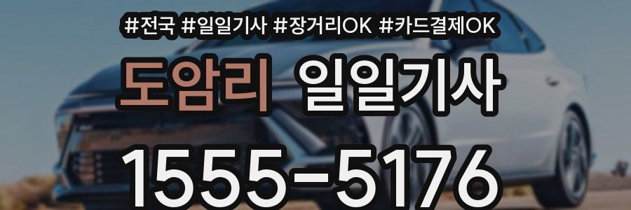 도암리 일일기사