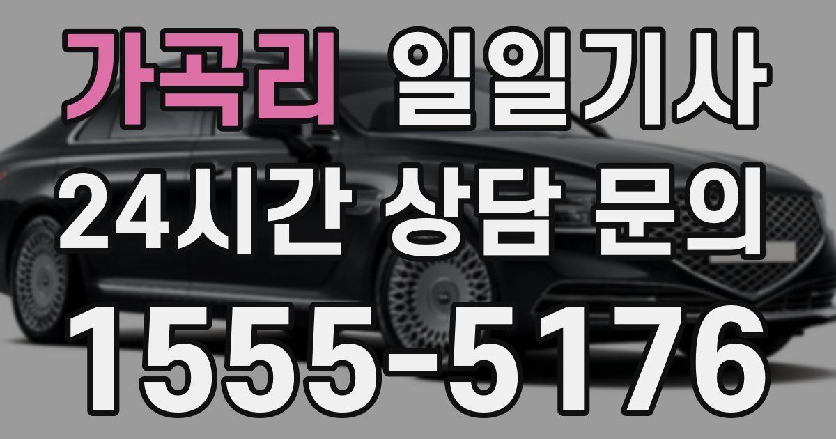 일일대리기사