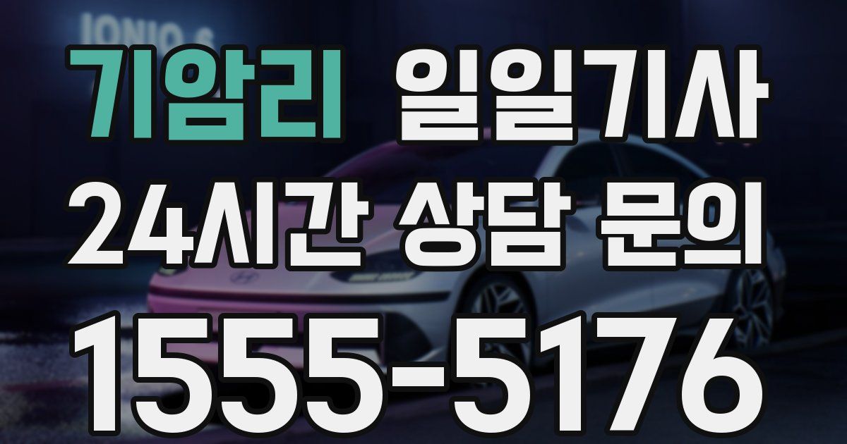 일일대리기사