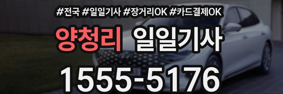 양청리 일일기사