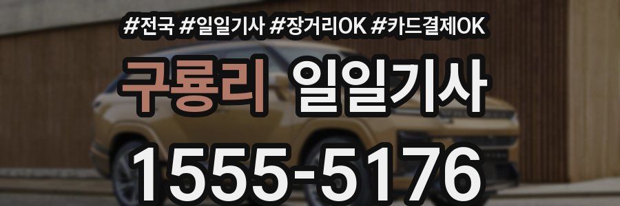 구룡리 일일기사