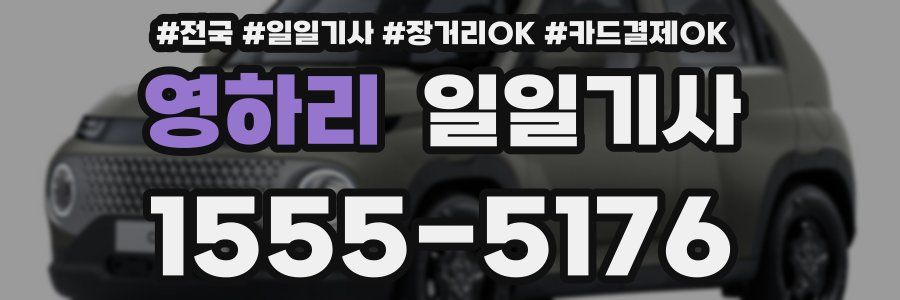 영하리 일일기사