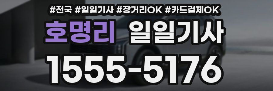 호명리 일일기사