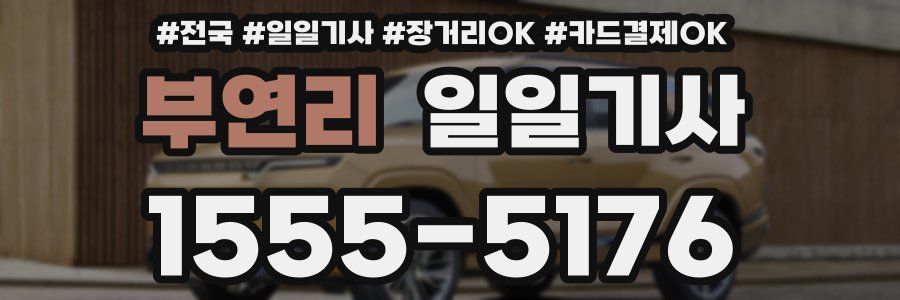 부연리 일일기사