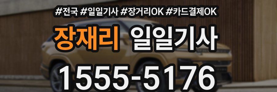 장재리 일일기사