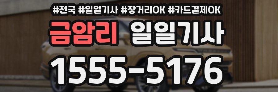 금암리 일일기사