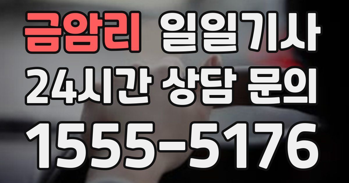 일일대리기사