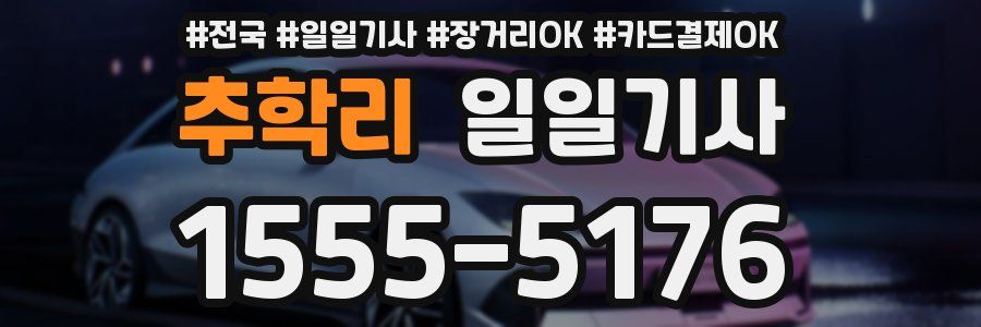 추학리 일일기사