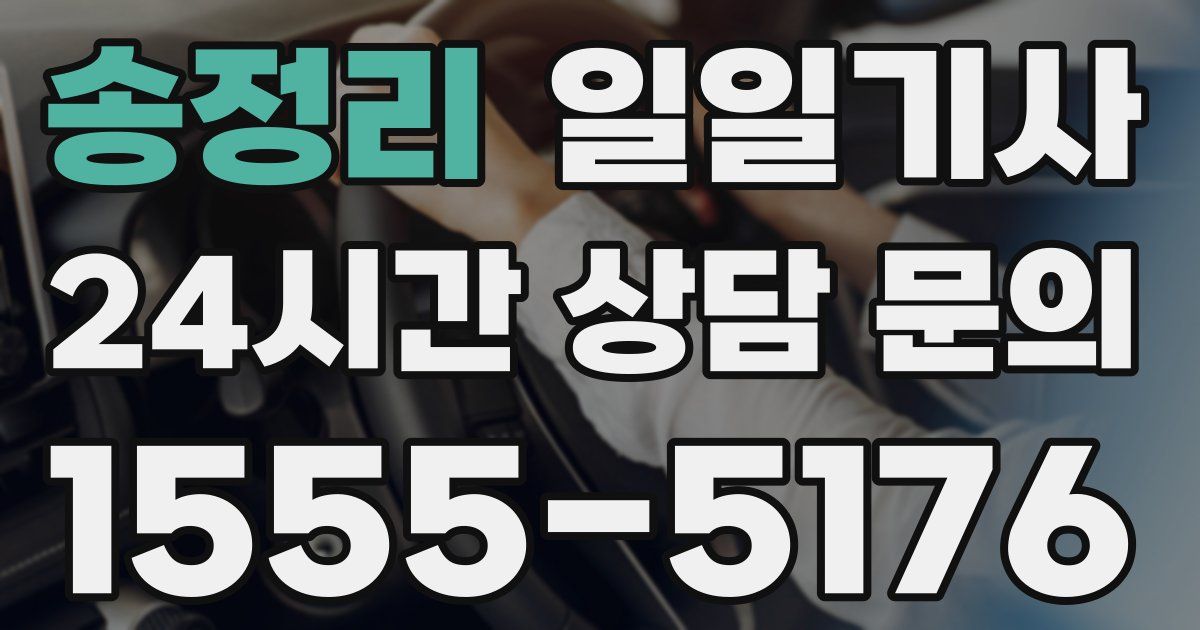 일일대리기사