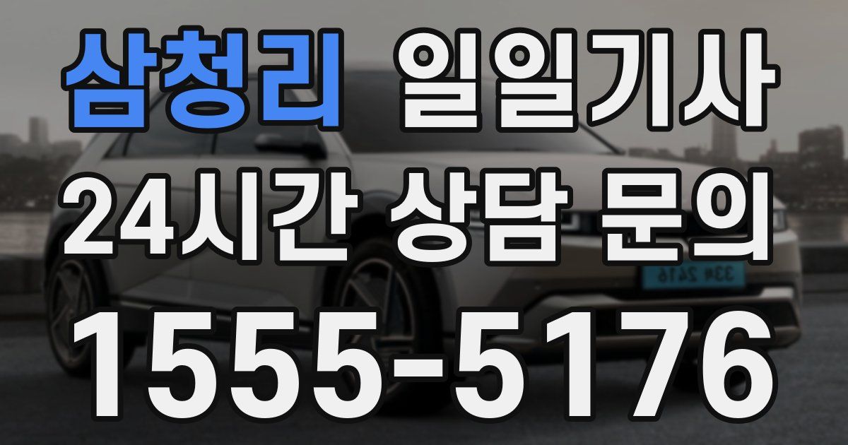 일일대리기사