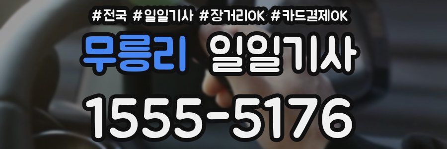 무릉리 일일기사