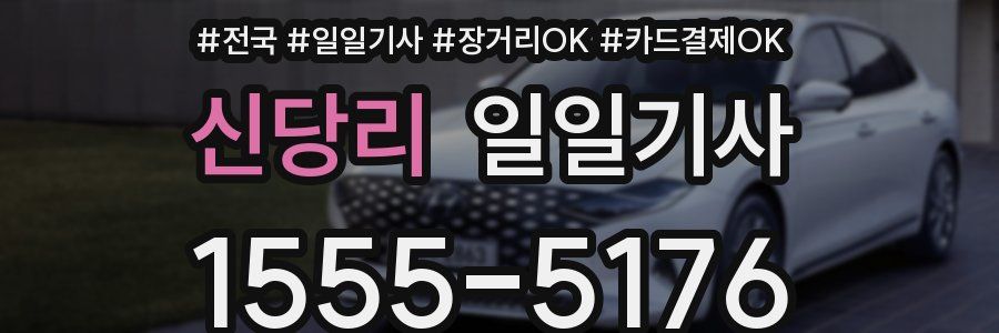 신당리 일일기사