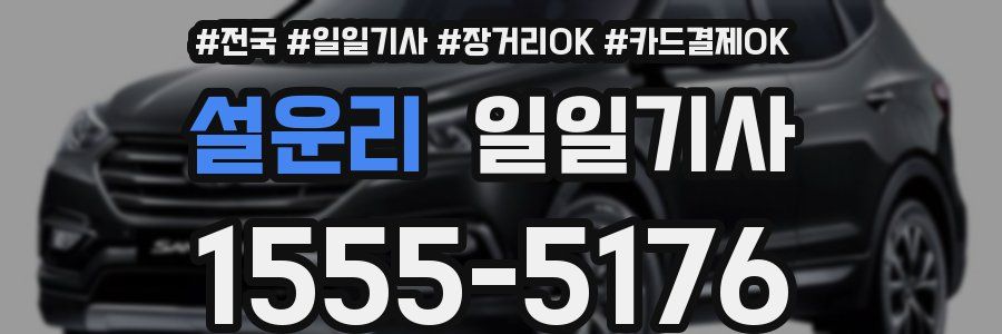 설운리 일일기사