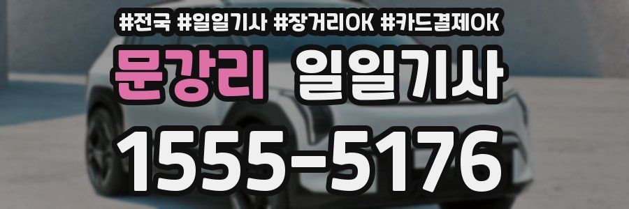 문강리 일일기사