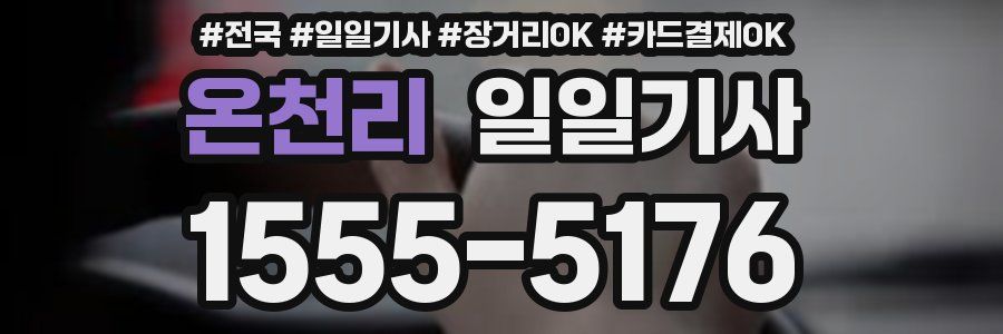 온천리 일일기사