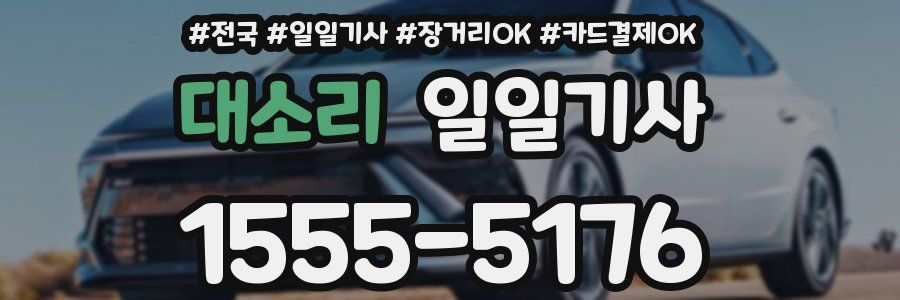 대소리 일일기사