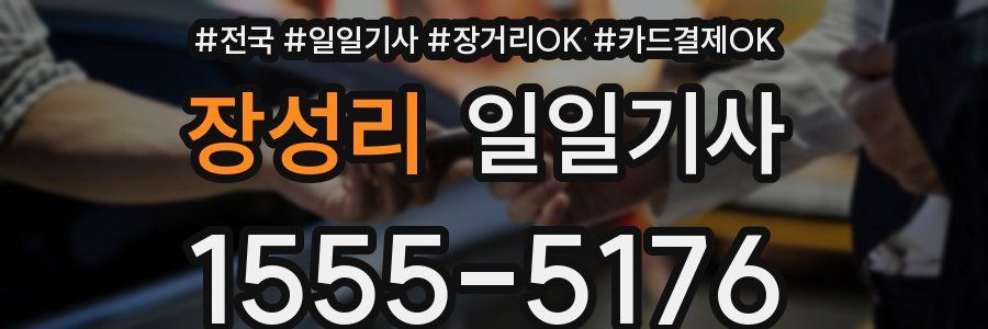 장성리 일일기사