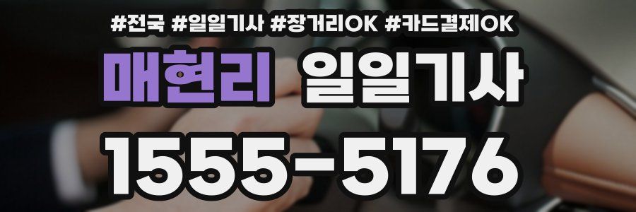 매현리 일일기사