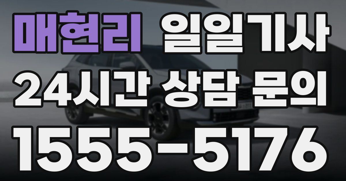 일일대리기사