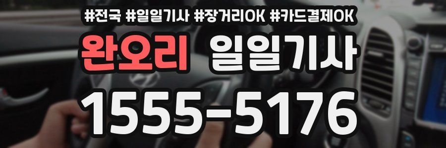 완오리 일일기사