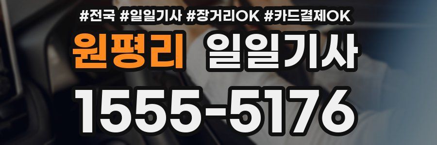 원평리 일일기사