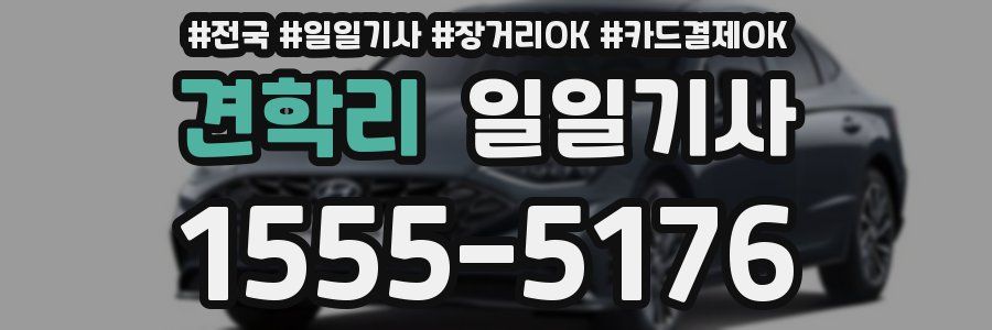 견학리 일일기사